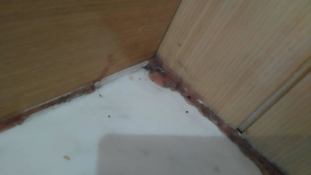 Room Hotel All Legend International