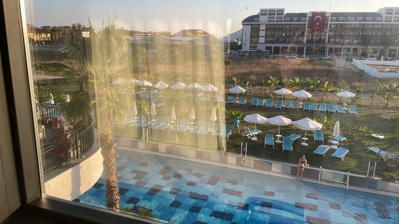 Ausblick Armella Hill