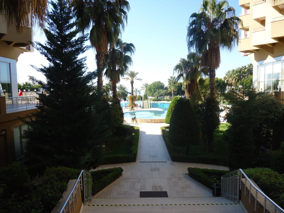 Aussicht auf den Pool Hotel Terrace Beach Resort