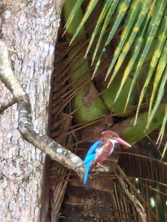 Sport & Freizeit Thaala Bentota