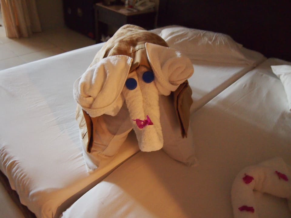 Jeden Tag was neues Jaz Dar EL Madina