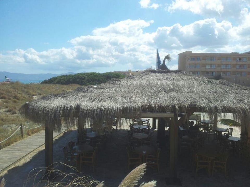 Die Snack-Bar vom Hotel (Mittags geöffnet) Eix Platja Daurada Hotel & SPA