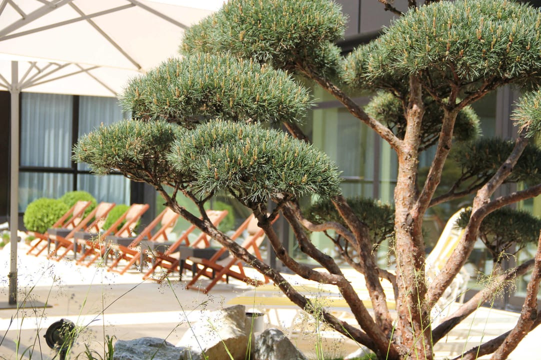 Gartenanlage Ramada Nürnberg Parkhotel