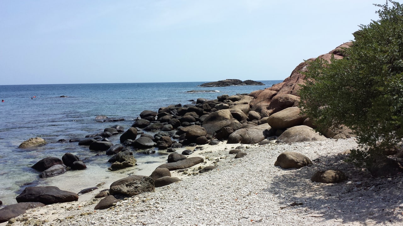 Strand Jungle Beach by Uga Escapes