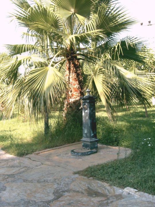 nettes detail im garten Club Grand Side