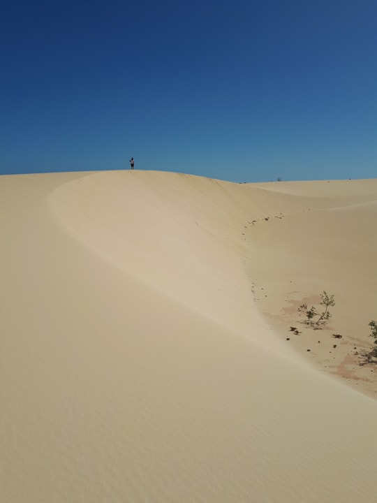 Ausblick Hotel Riu Palace Tres Islas