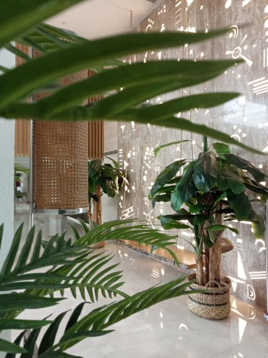 Lobby TUI BLUE Xanthe