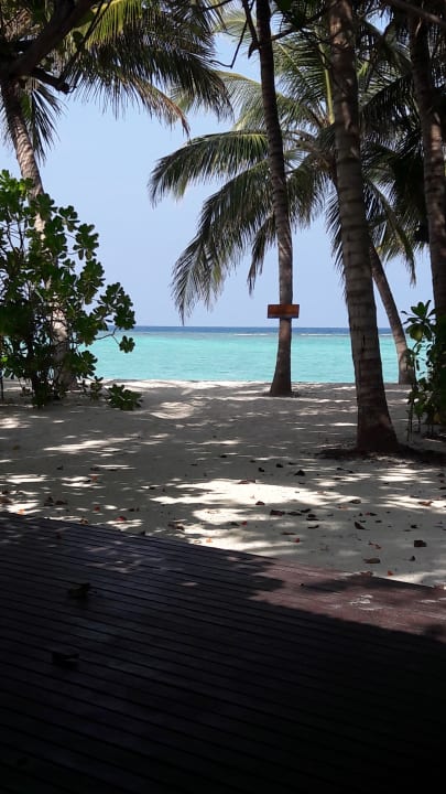 Ausblick Summer Island Maldives