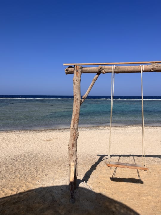 Strand Pickalbatros Sea World Resort - Marsa Alam