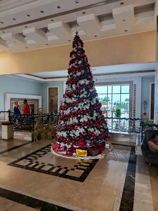 Lobby Serenity Alma Heights