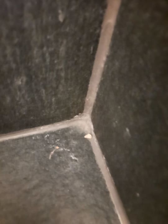 Zimmer Center Parcs Park Allgäu