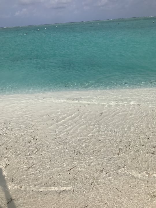 Strand Meeru Maldives Resort Island