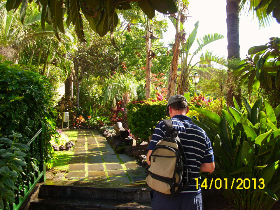 Subtropik BLUESEA Costa Jardin Spa