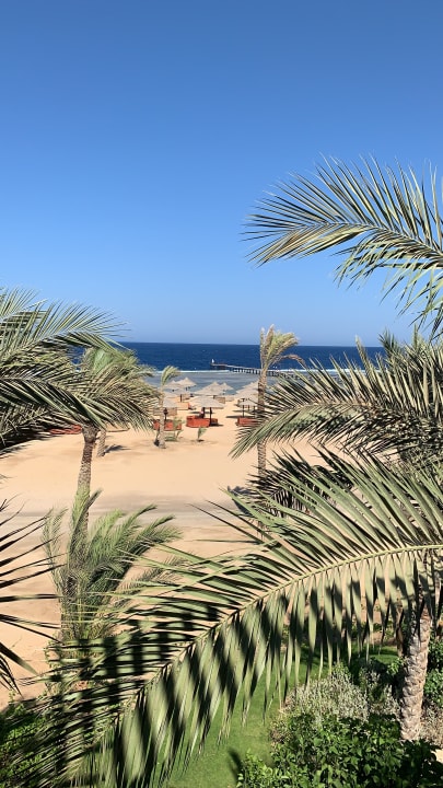 Ausblick Pickalbatros Sands Hotel - Port Ghalib
