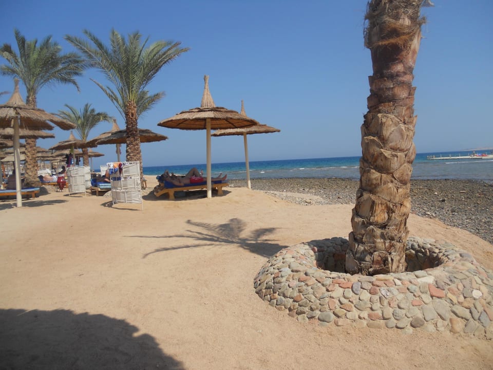 Der Weg zum Meer Beach Albatros Resort