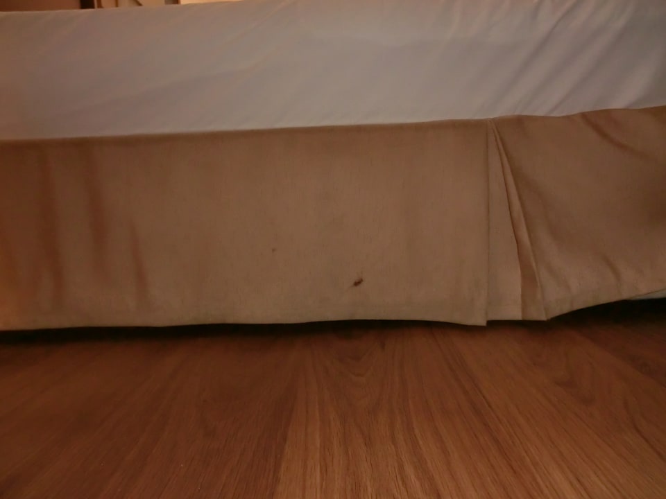 Zimmer Latanya Park Resort