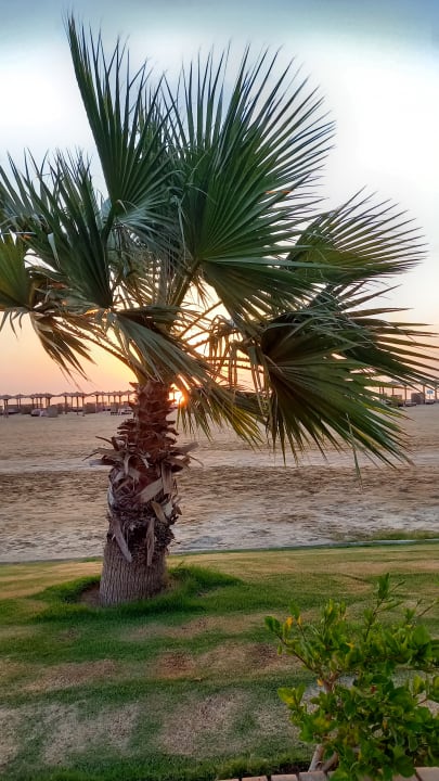 Gartenanlage Casa Mare Resort