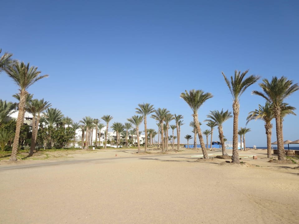 Strandlandschaft Pickalbatros Sands Hotel - Port Ghalib