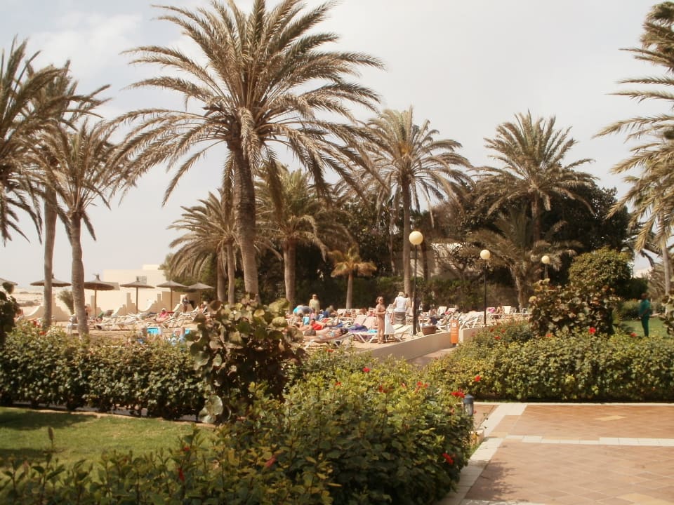 Ogród Hotel Riu Oliva Beach - Hotel