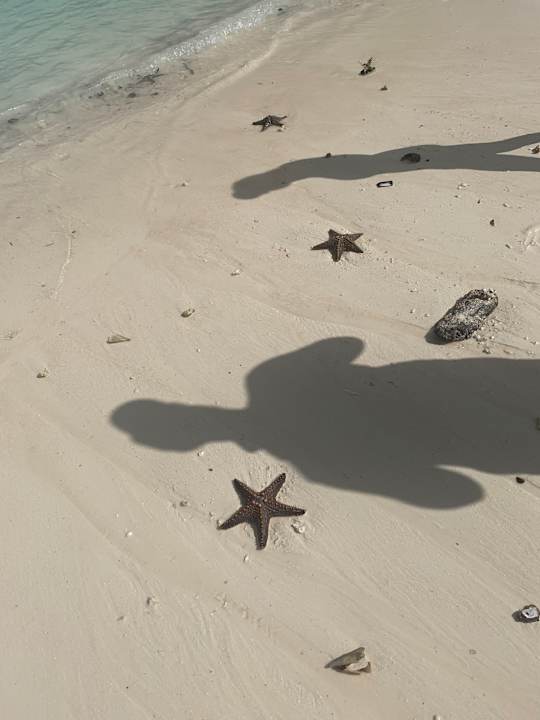 Strand Hotel Riu Palace Zanzibar
