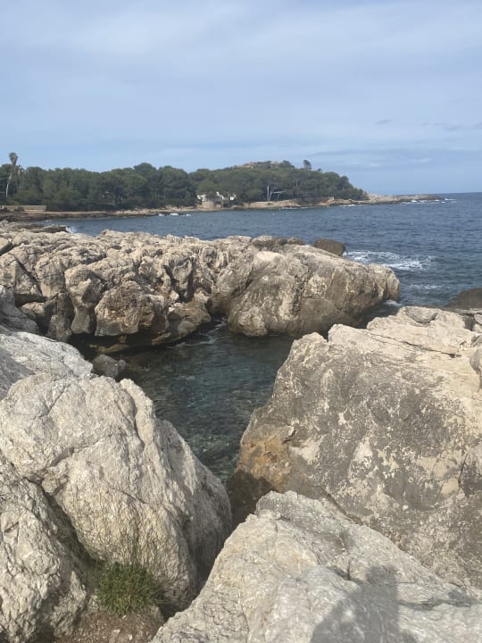 Ausblick Iberostar Waves Pinos Park