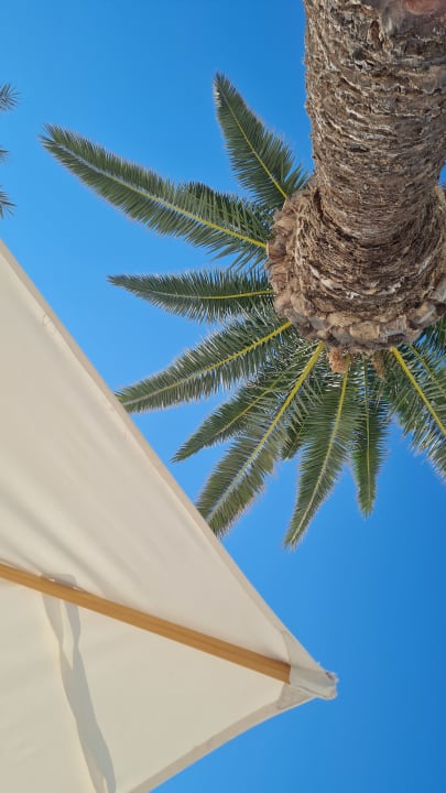 Außenansicht Hotel Marhaba Club