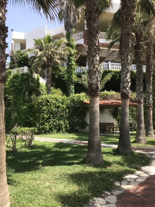 Gartenanlage Hotel Defne Dream