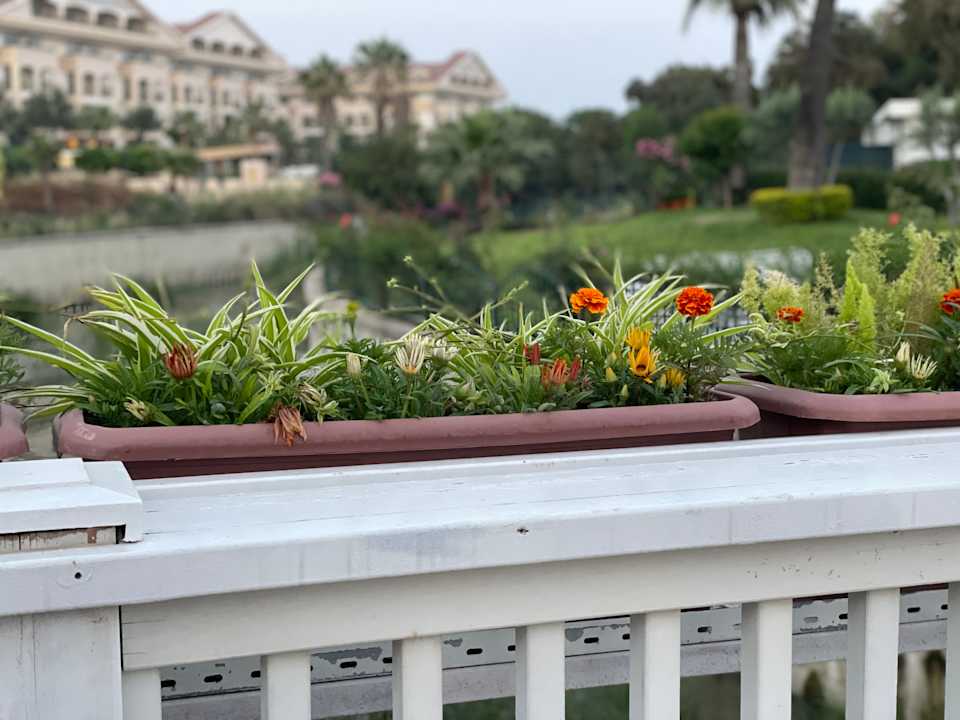 Gartenanlage Diamond De Luxe Hotel & Spa