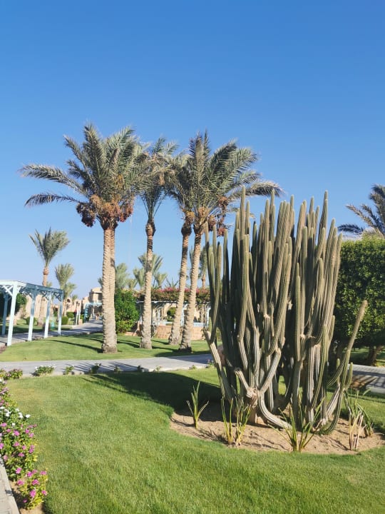 Gartenanlage Radisson Blu Resort, El Quseir