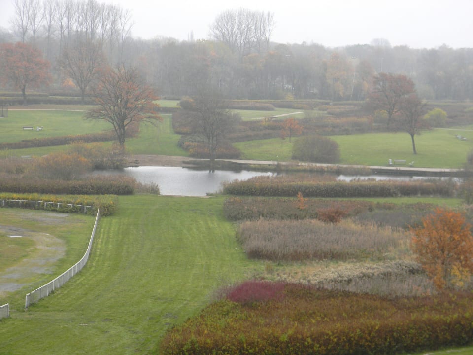 Die Rennbahn - fast ein Park NH Hamburg Horner Rennbahn