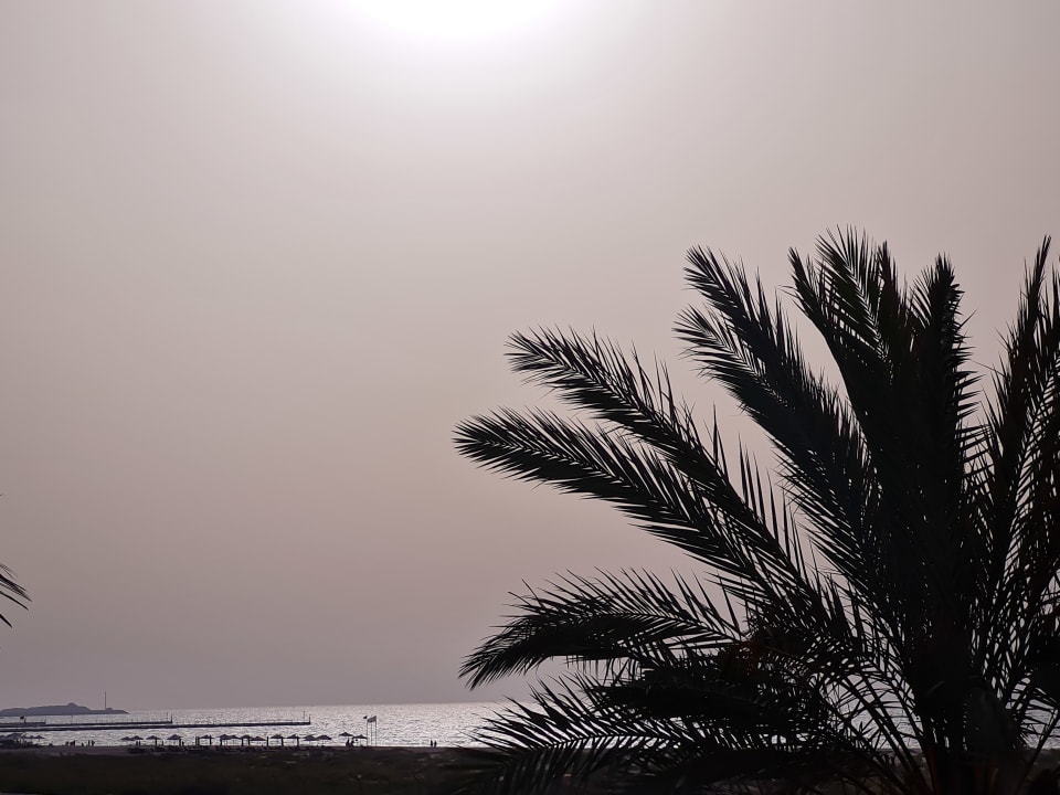 Ausblick Saadiyat Rotana Resort &  Villas