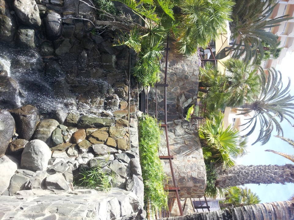 Sehr schöne Gartenanlage Corallium Dunamar by Lopesan Hotels