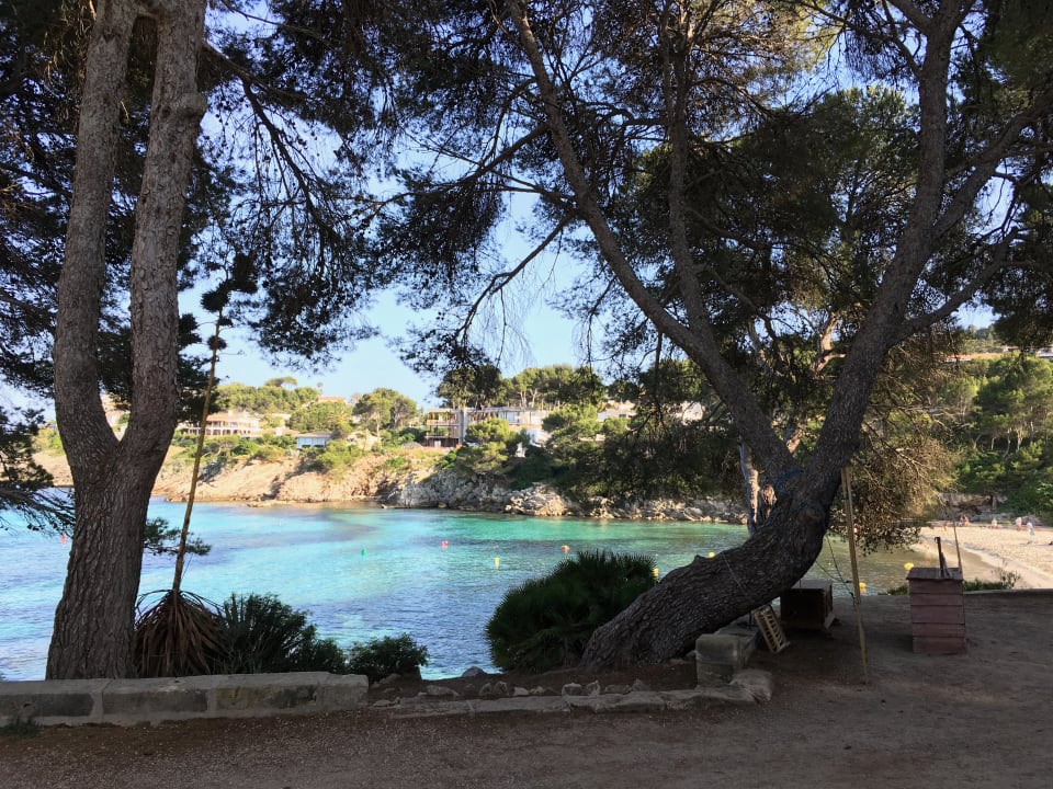 Ausblick Iberostar Waves Pinos Park
