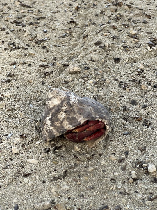 Sonstiges Akumal Bay Beach & Wellness Resort