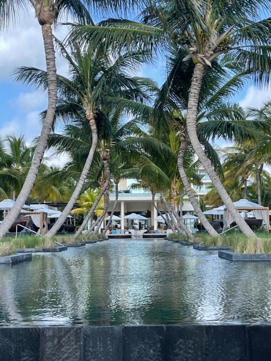 Gartenanlage TRS Coral Hotel - Adults Only