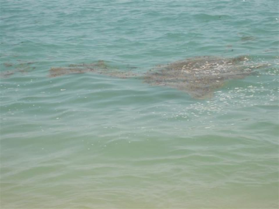 Meer Pinnacle Samui Resort