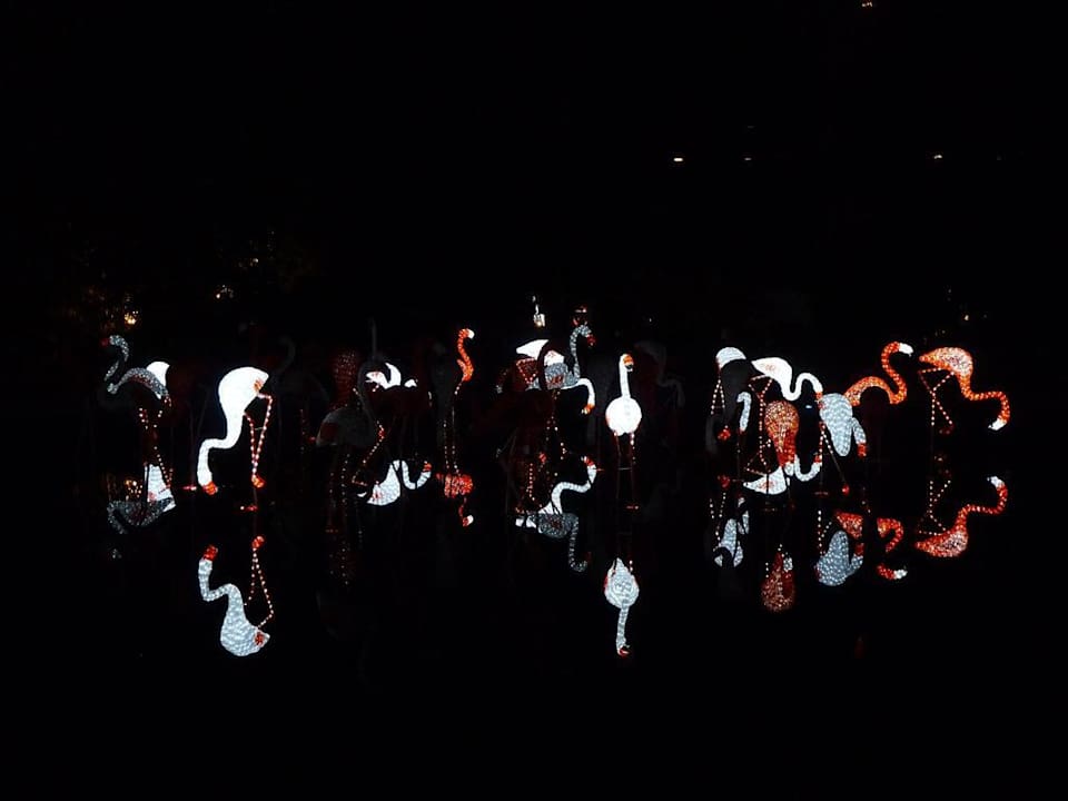 Flamingos Lopesan Baobab Resort