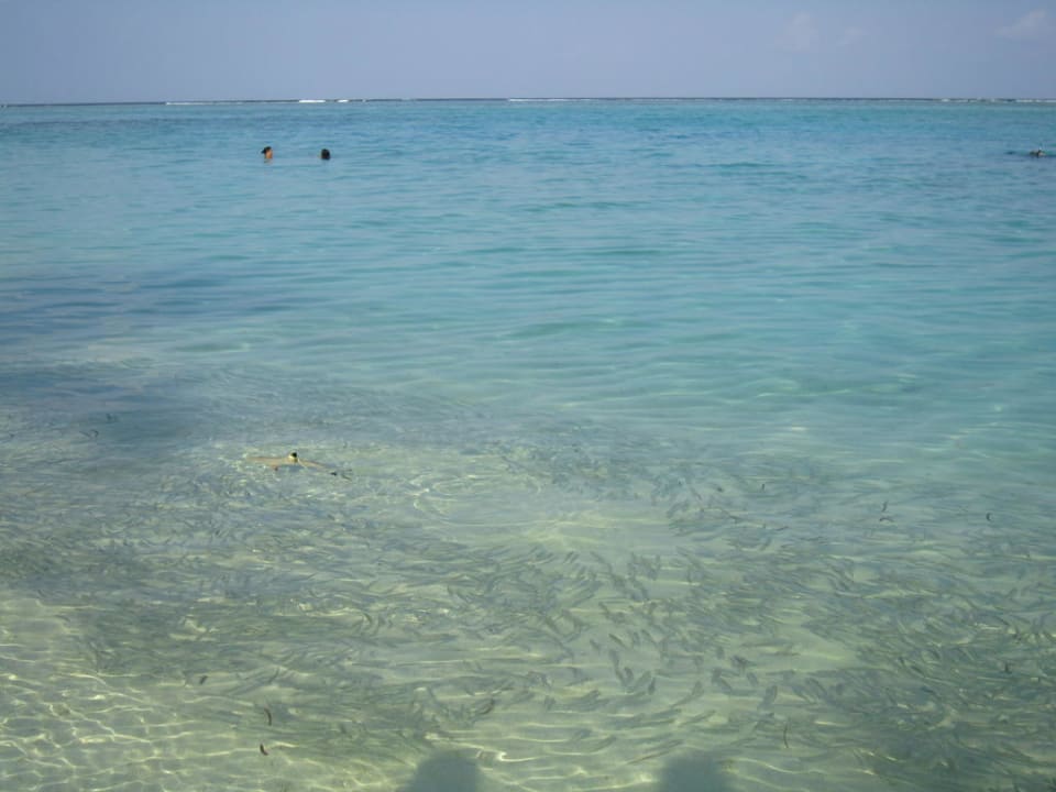 Strand Südosten  Meeru Maldives Resort Island