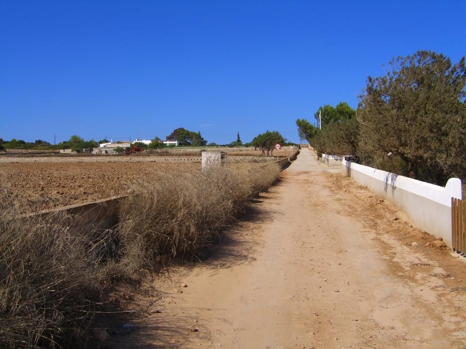 Straße vor dem Hotel  Hotel La Palmera