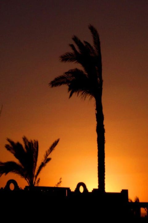 Sonnenuntergang vom Pool aus gesehen Three Corners Sea Beach Resort