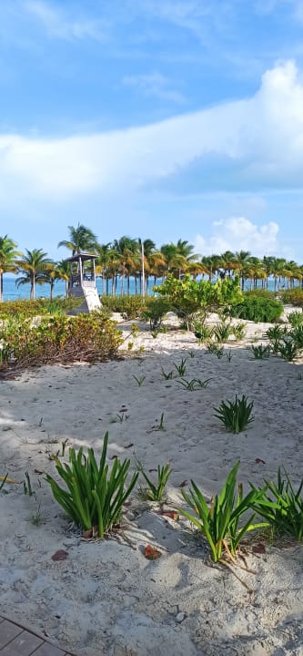 Strand Hotel Riu Palace Costa Mujeres