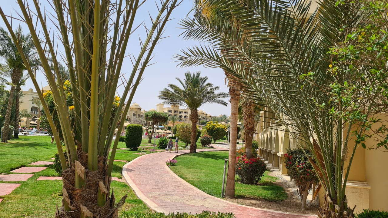 Ausblick Serenity Alpha Beach