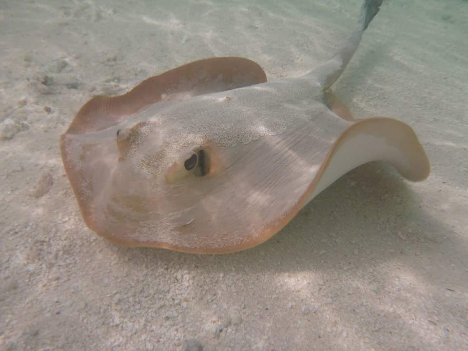 Rochen Embudu Village