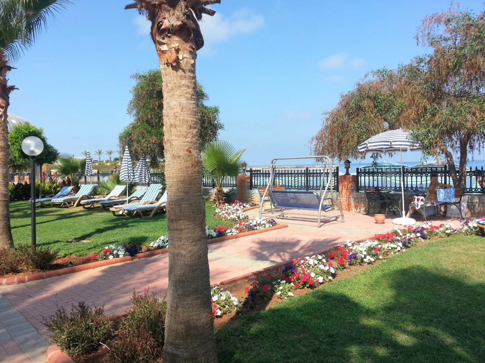 Miejsca do wypoczynku Lonicera Resort & Spa Hotel