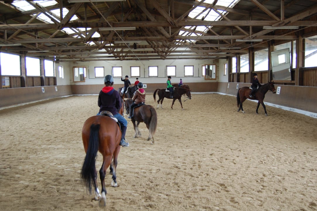 Qualifizierter Reitunterricht täglich ganzjährig Kollerhof
