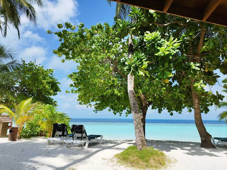 Ausblick Vilamendhoo Island Resort & Spa