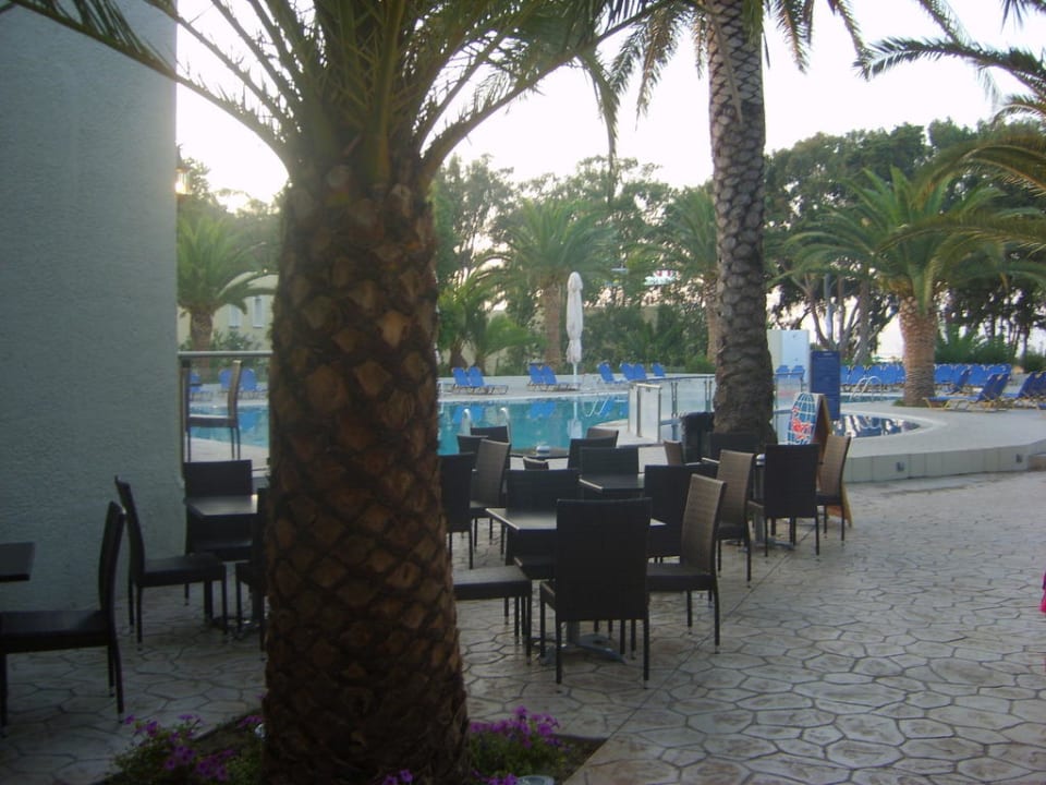 Pool Kipriotis Hippocrates Hotel