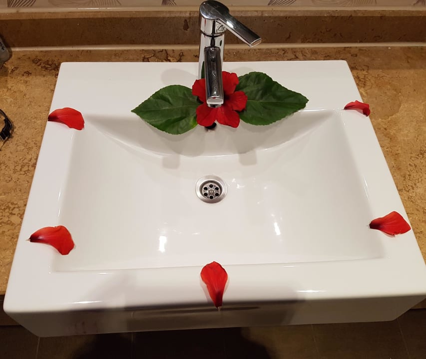 Putzfrau Kunst Kaya Side