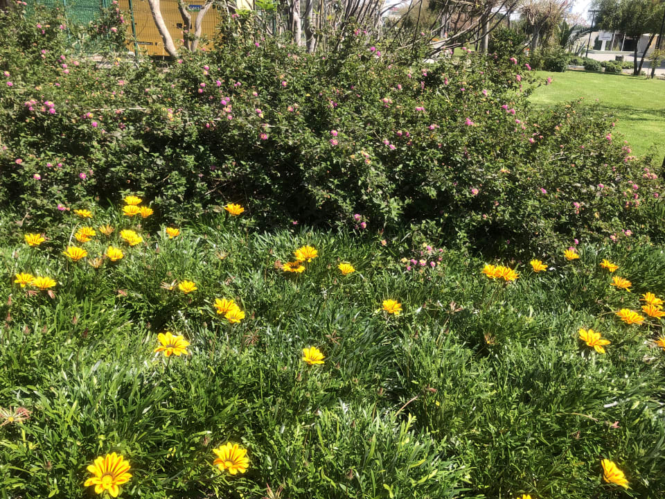Gartenanlage Side Sunport Hotel & Spa