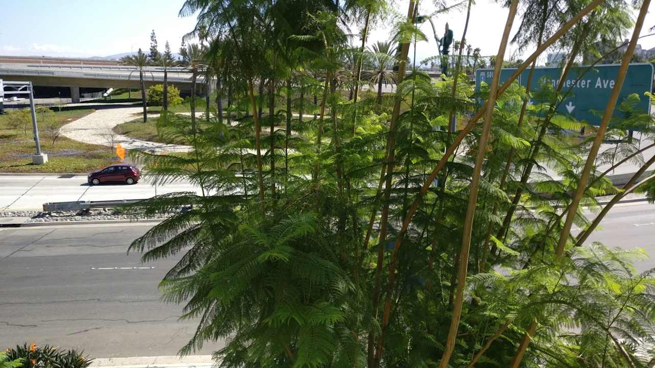 Ausblick Hotel Comfort Inn Anaheim